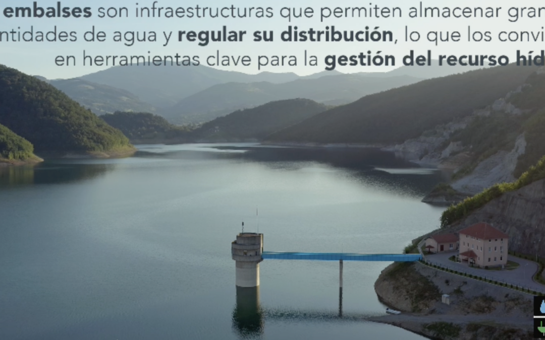 Importancia de los embalses